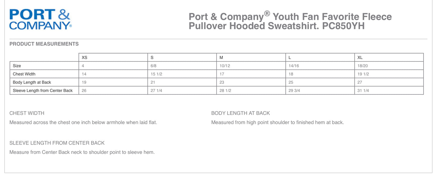 Youth Hooded Sweatshirt: Design 2